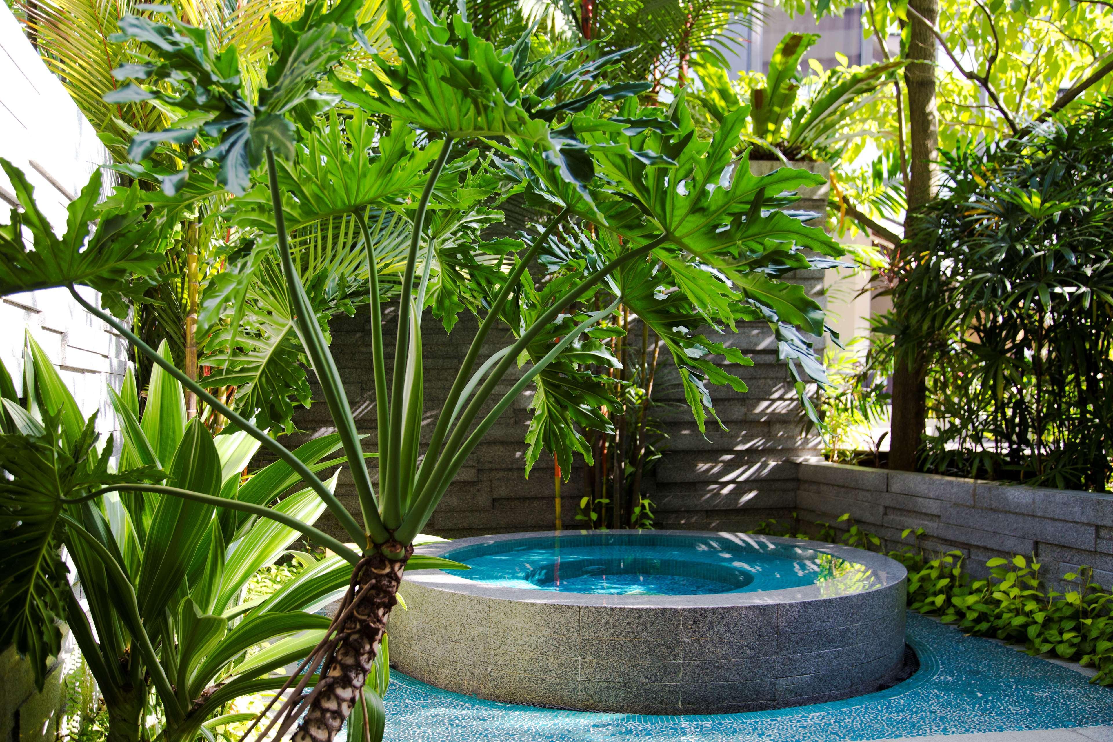 Grand Hyatt Khách sạn 5*